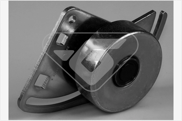 Tensioner Pulley, V-ribbed belt (T0302)