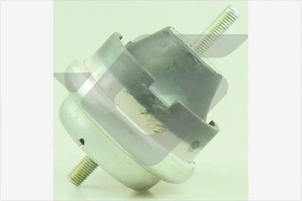 Mounting, engine (594631)