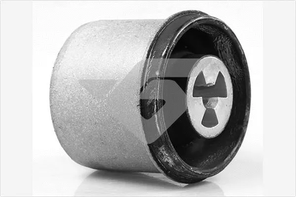 Bushing, axle beam (590177)