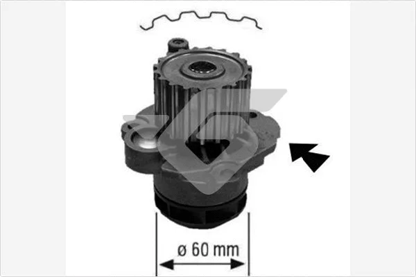 Water Pump, engine cooling (WP126)
