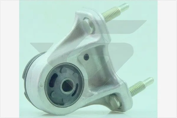 Bushing, axle beam (590384)