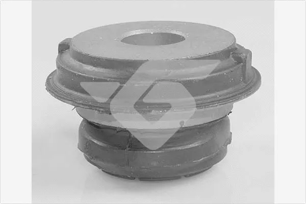 Mounting, control/trailing arm (590331)