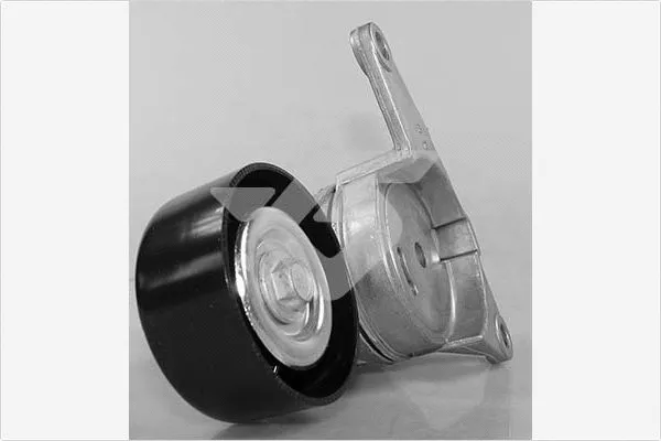 Tensioner Pulley, V-ribbed belt (T0473)