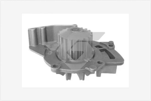 Water Pump, engine cooling (WP0060V)