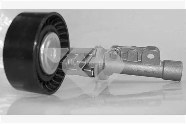 Tensioner Pulley, V-ribbed belt (T0586)