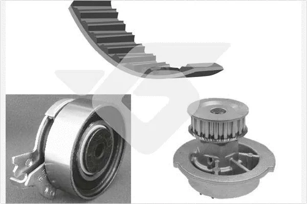 Water Pump & Timing Belt Kit (KH 60WP41)