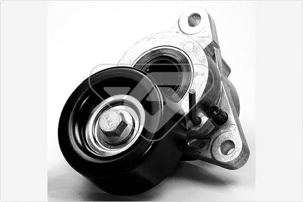 Tensioner Pulley, V-ribbed belt (T0058)
