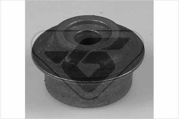 Bushing, axle beam (599027)