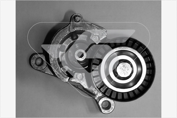Tensioner Pulley, V-ribbed belt (T0018)