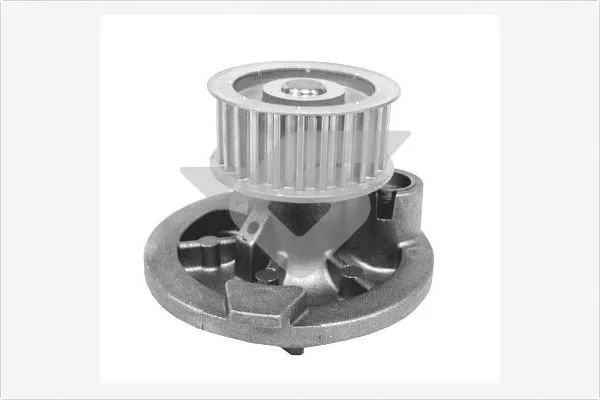 Water Pump, engine cooling (WP0050V)