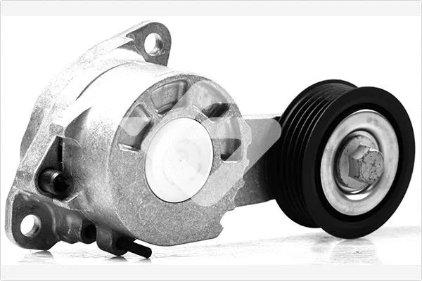 Tensioner Pulley, V-ribbed belt (T0077)
