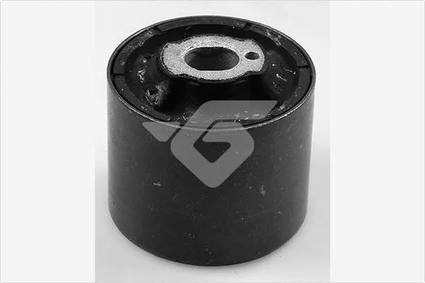 Bushing, axle beam (590312)