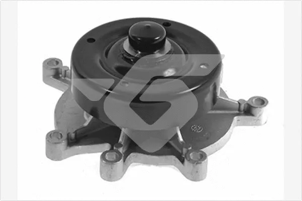 Water Pump, engine cooling (WP312)