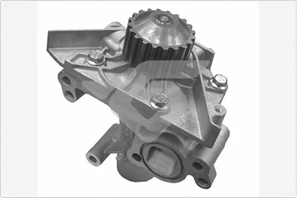 Water Pump, engine cooling (WP77)