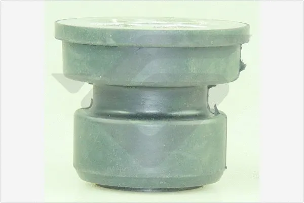 Bushing, axle beam (590506)