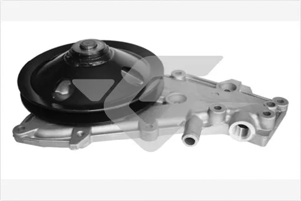 Water Pump, engine cooling (WP81)