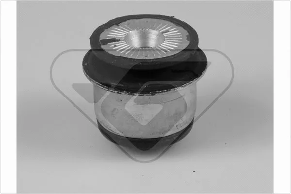 Bushing, axle beam (597098)