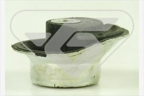 Bushing, axle beam (597062)