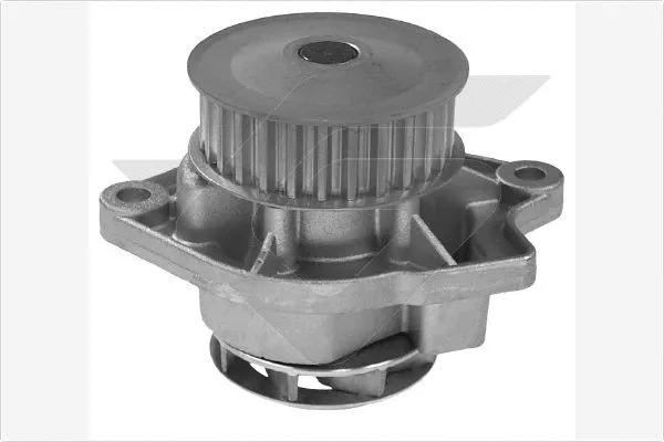 Water Pump, engine cooling (WP33)