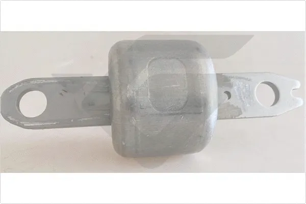 Bushing, axle beam (590566)