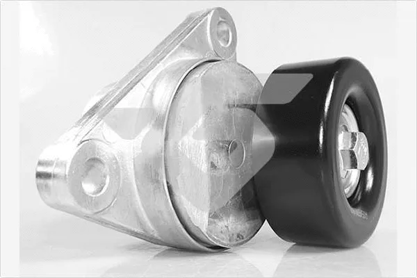 Tensioner Pulley, V-ribbed belt (T0482)