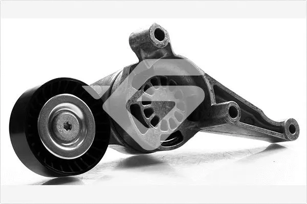 Tensioner Pulley, V-ribbed belt (T0260)