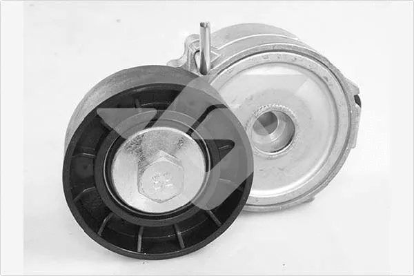 Tensioner Pulley, V-ribbed belt (T0623)