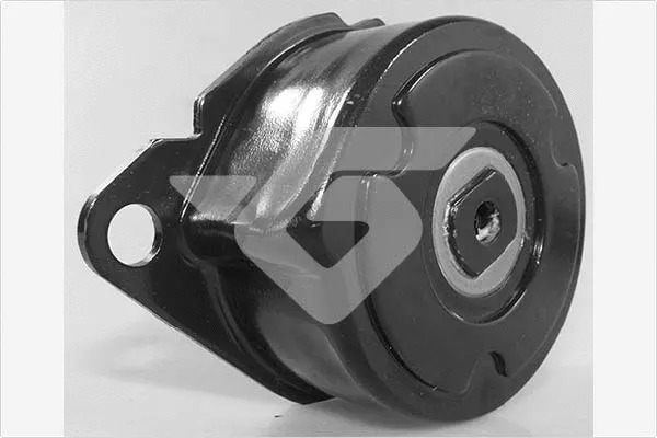 Tensioner Pulley, V-ribbed belt (T0676)