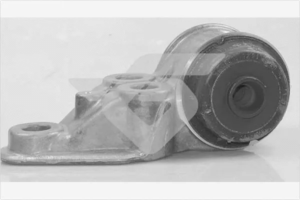 Bushing, axle beam (590346)