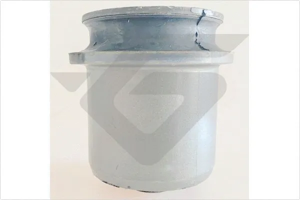 Bushing, axle beam (590565)