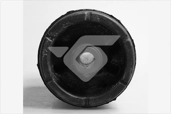 Bushing, axle beam (590245)