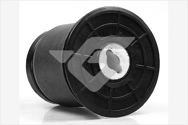 Bushing, axle beam (590216)
