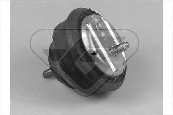 Mounting, engine (597023)