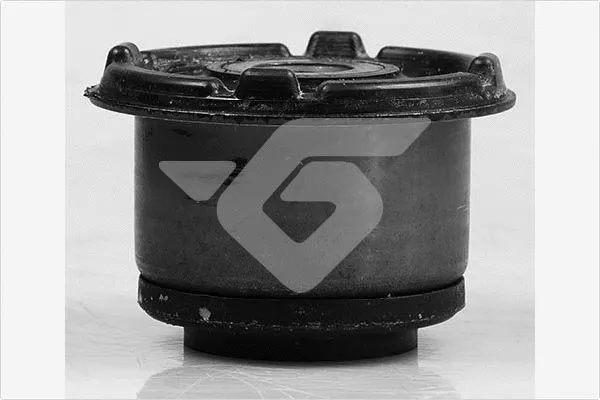 Bushing, axle beam (590181)