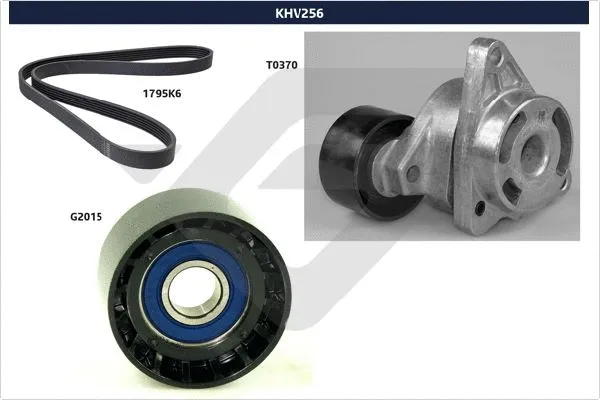 V-Ribbed Belt Set (KHV 256)