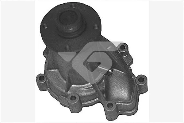 Water Pump, engine cooling (WP202)