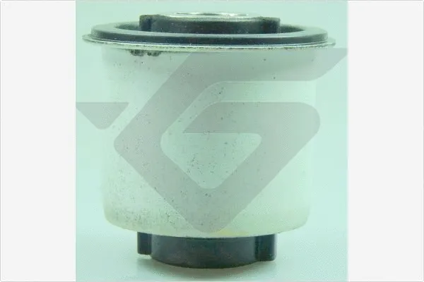 Bushing, axle beam (590383)