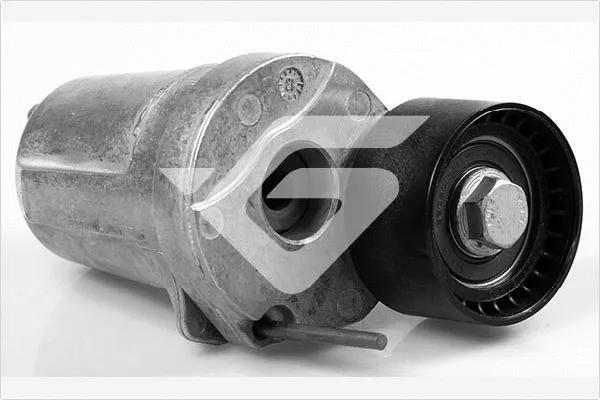 Tensioner Pulley, V-ribbed belt (T0076)