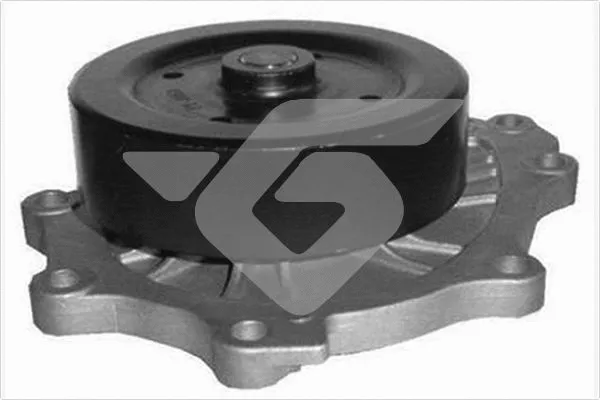Water Pump, engine cooling (WP106)