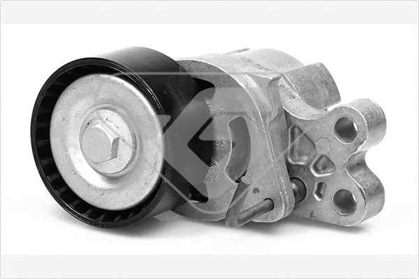 Tensioner Pulley, V-ribbed belt (T0071)