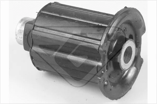 Bushing, axle beam (597034)