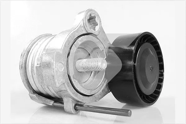 Tensioner Pulley, V-ribbed belt (T0558)