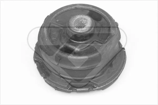Bushing, axle beam (560550)