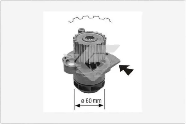 Water Pump, engine cooling (WP58)
