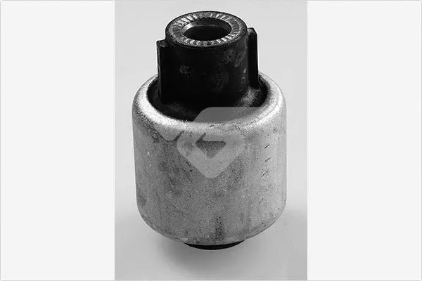 Mounting, control/trailing arm (590296)