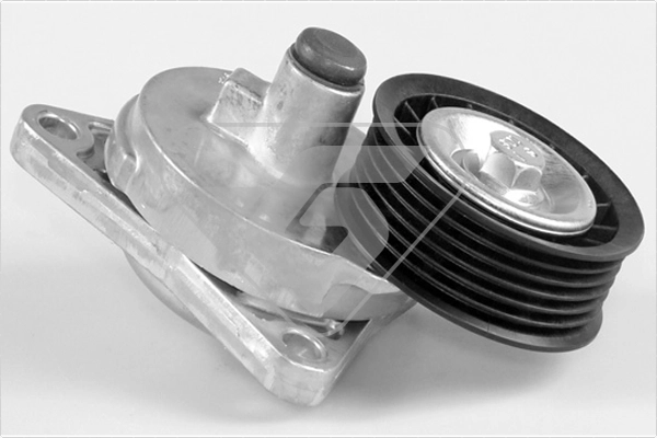 Tensioner Pulley, V-ribbed belt (T0313)