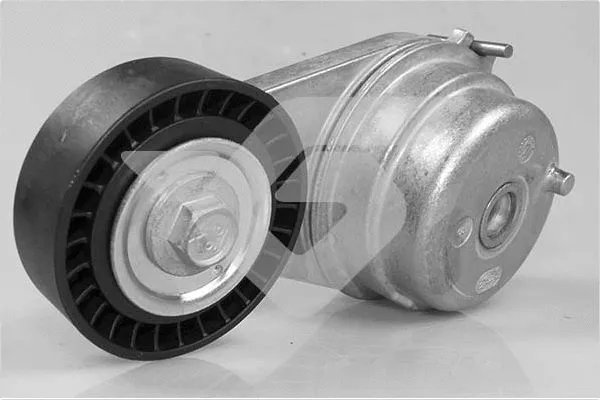 Tensioner Pulley, V-ribbed belt (T0613)