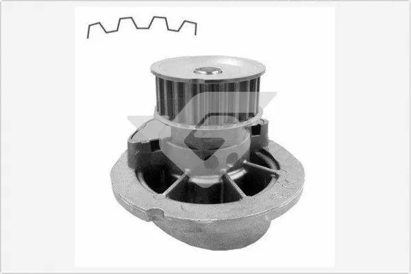 Water Pump, engine cooling (WP74)