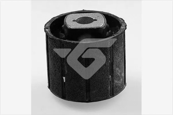 Bushing, axle beam (590300)