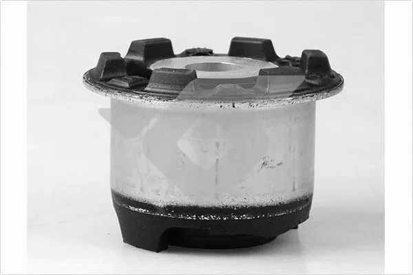 Bushing, axle beam (590288)